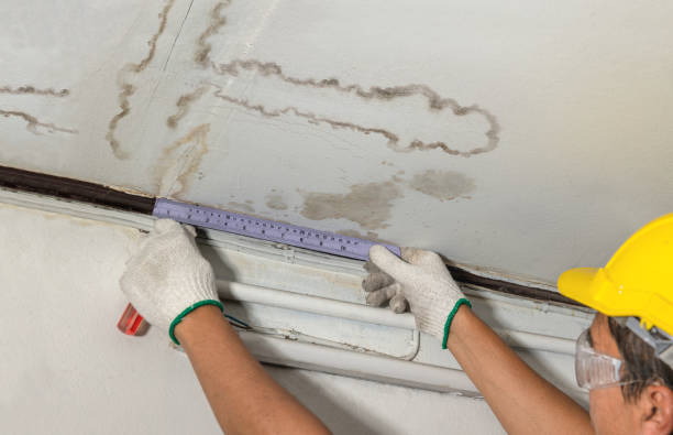 Reliable Burst Pipe Cleanup contractor in Wadsworth, IL by Water Damage Irwin